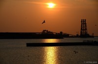 /album/photo-gallery-silhouette/%e9%87%91%e8%89%b2%e3%81%ab%e8%bc%9d%e3%81%8f%e6%b5%b7%e3%83%91%e3%83%bc%e3%83%88%ef%bc%92%ef%bd%9e%e6%81%8b%e4%ba%ba%e9%81%94%e3%81%ae%e3%81%95%e3%81%95%e3%82%84%e3%81%8d%e7%b7%a8%ef%bd%9e3-jpg/