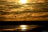 /album/photo-gallery-silhouette/%e9%87%91%e8%89%b2%e3%81%ab%e8%bc%9d%e3%81%8f%e5%a4%95%e7%84%bc%e3%81%91%e9%87%a3%e3%82%8a%e4%ba%ba%e3%81%ae%e3%82%b7%e3%83%ab%e3%82%a8%e3%83%83%e3%83%88-jpg/