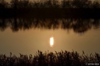 /album/photo-gallery-silhouette/dsc-3984-jpg/