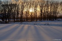 /album/photo-gallery-silhouette/a2-jpg1/