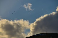 /album/photo-gallery-silhouette/dsc-4583-jpg/