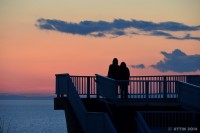 /album/photo-gallery-silhouette/%e5%b2%ac%e3%81%af%e6%81%8b%e8%89%b2%e3%81%ab%e7%87%83%e3%81%88%e3%81%a6%e3%83%bb%e3%83%bb%e3%83%bb-jpg/