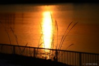 /album/photo-gallery-silhouette/dsc-1322-jpg/