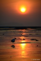 /album/photo-gallery-silhouette/a1dsc-1975-jpg/