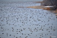 /album/%e6%98%a5/a14-4-19-jpg/