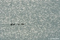 /album/photo-gallery-silhouette/%e6%98%a5%e3%81%af%e7%94%9f%e5%91%bd%e3%81%8c%e5%8a%9b%e5%bc%b7%e3%81%84%e5%ad%a3%e7%af%80-jpg/