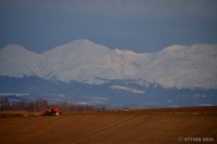 /album/%e6%98%a5/a1dsc-2827-jpg/