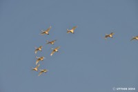 /album/%e6%98%a5/a2-3-jpg2/