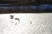 /album/%e6%98%a5/a3-jpg2/