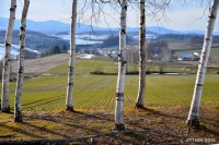 /album/%e6%98%a5/a1dsc-2798-jpg/