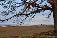 /album/%e6%98%a5/a1dsc-2840-jpg/