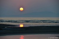 /album/%e6%98%a5/%e6%98%8e%e6%97%a5%e3%81%b8%e3%81%a8%e6%b2%88%e3%81%bf%e3%82%86%e3%81%8f%e5%a4%95%e9%99%bd%e3%81%ae%e4%bd%99%e9%9f%bb-jpg/