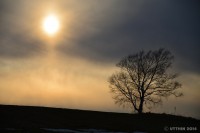 /album/%e6%98%a5/%e3%82%b7%e3%83%ab%e3%82%a8%e3%83%83%e3%83%88%e3%81%af%e5%b9%bb%e6%83%b3%e3%81%a8%e3%81%aa%e3%81%a3%e3%81%a6%e3%83%bb%e3%83%bb%e3%83%bb-jpg/