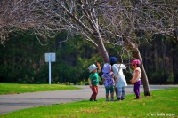 /album/%e6%98%a5/%e6%98%a5%e3%83%bb%e3%83%bb%e3%83%bb%e5%a4%a2%e3%81%bf%e3%81%a4%e3%81%91%e3%81%9f%ef%bc%81-jpg/