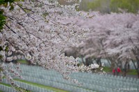 /album/%e6%98%a5/a1dsc-4031-jpg/