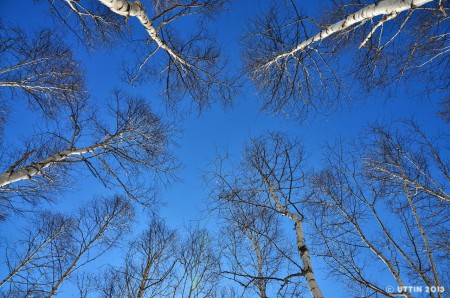 札幌市　前田森林公園