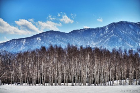 札幌市　前田森林公園